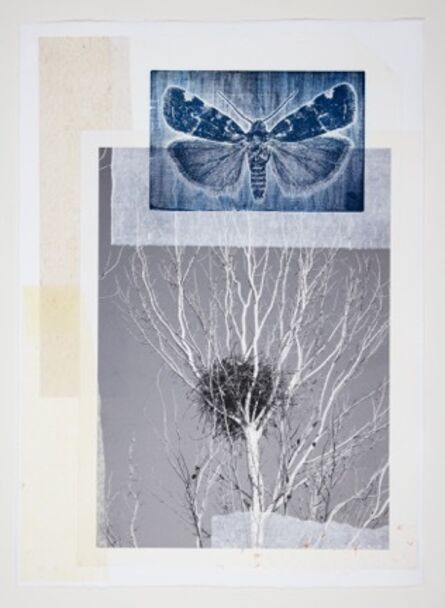 Joseph Scheer, ‘Magpie Nest and Blue Moth’, 2019