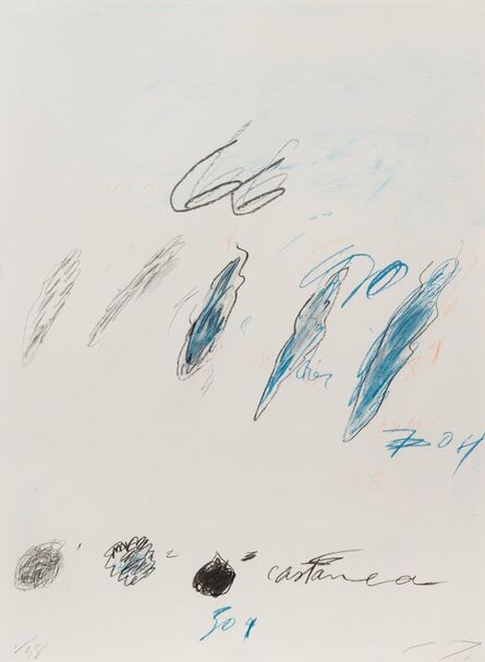 Cy Twombly, ‘Natural History Part Il: Some Trees of Italy (Castanea Sativa)’, 1976