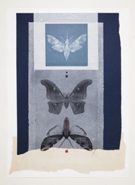 Joseph Scheer, ‘Three Moths’, 2019