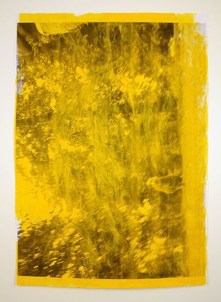 David Thomas, ‘Impermanences, Dogs of London (Golden Yellow)’, 2015