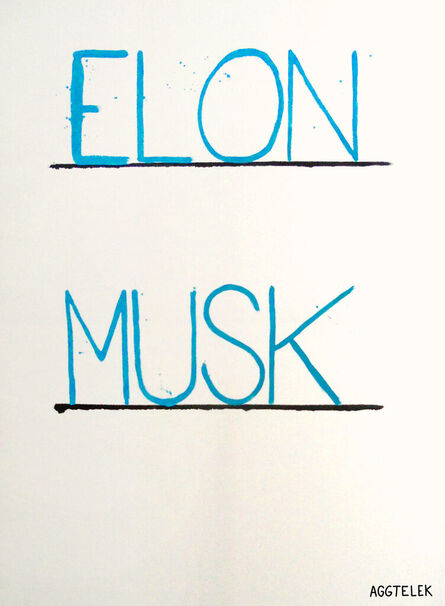 AGGTELEK, ‘Elon Musk’, 2015