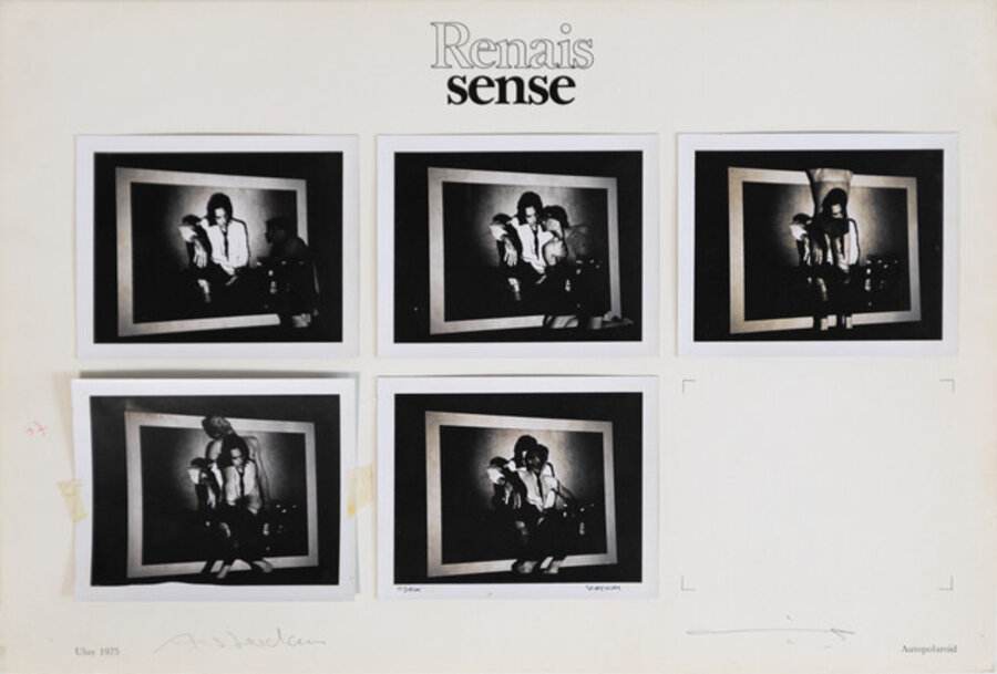 Untitled (from the series "Renais sense")