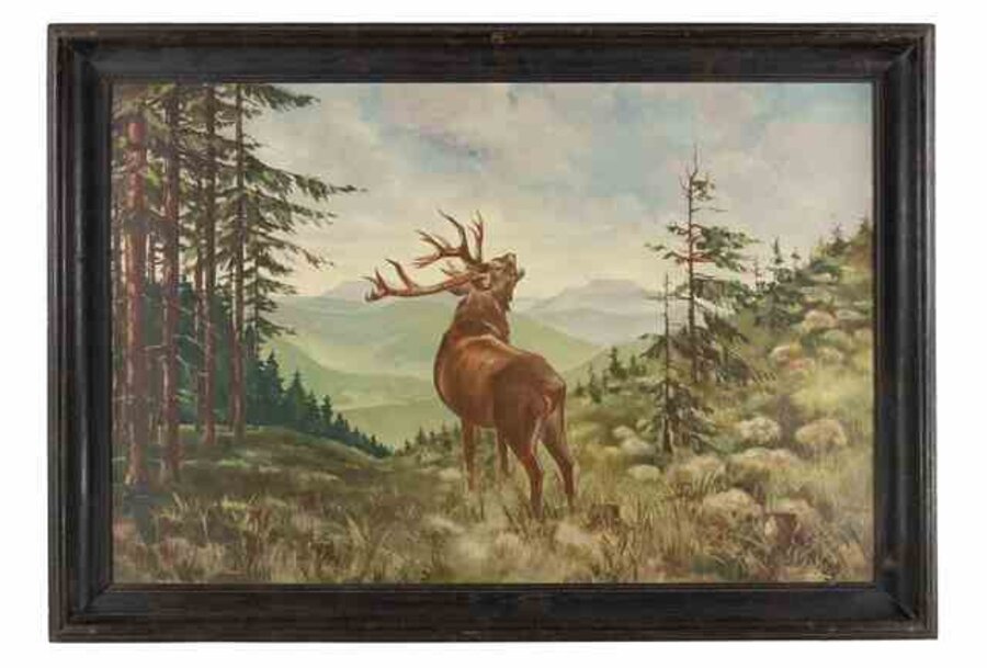 Deer