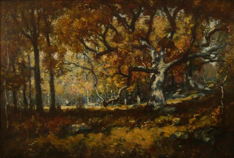 The Woodland Scene