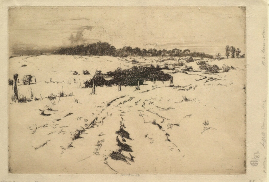 A Suffolk Common, No. 2