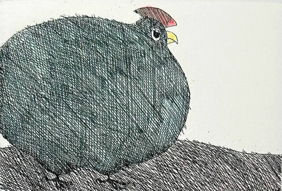 A fat chicken