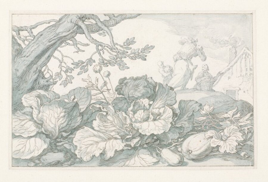 Cabbages and Other Plants at the Base of a Tree
