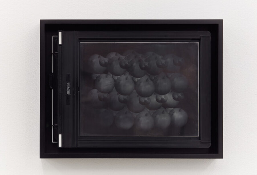 Recursive Plates (Still Life with Apples and Conkers or Silver Iodine Molecule Model)