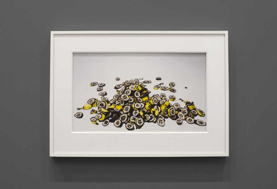 Small Cuttings of Bananas, New York
