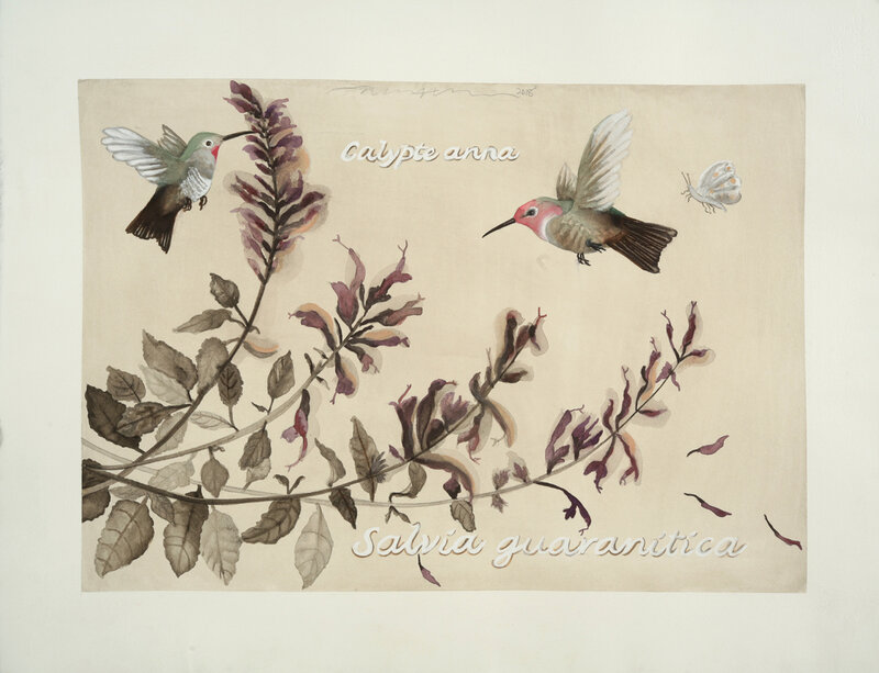 Adrienne Sherman, ‘Hummingbirds and Salvia: Lafayette Park ’, 2019, Painting, Watercolor on Handmade Paper, Andra Norris Gallery