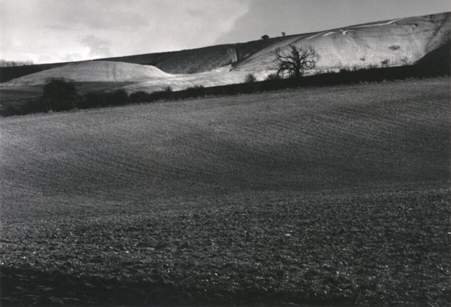 White Horse and Dragon Hill, Uffington