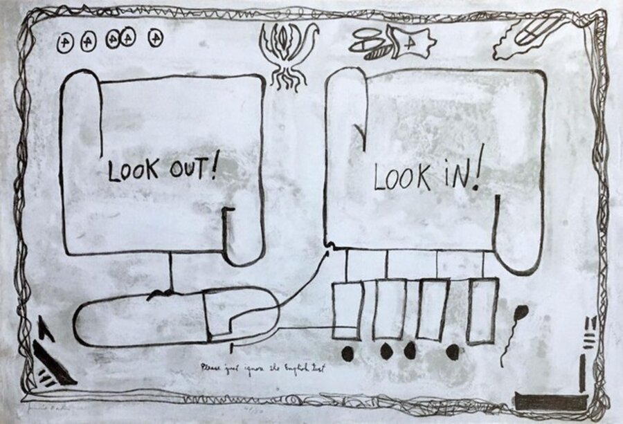 Look In Look Out