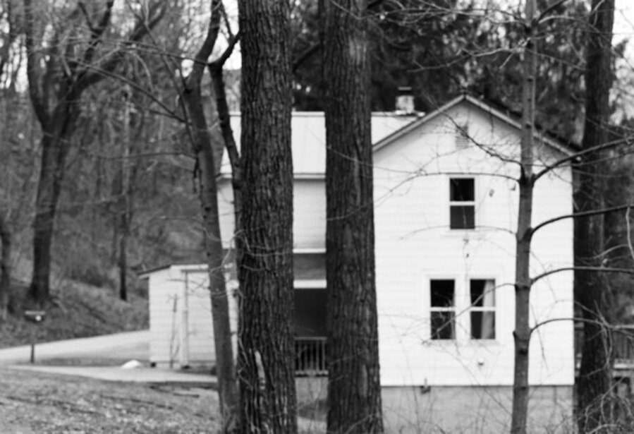 Two Tress Before House