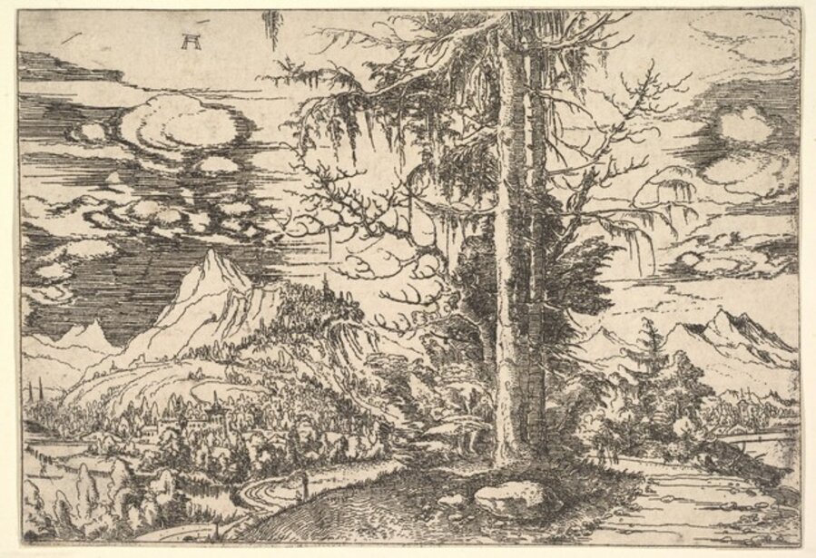 Landscape with a Double Spruce in the Foreground