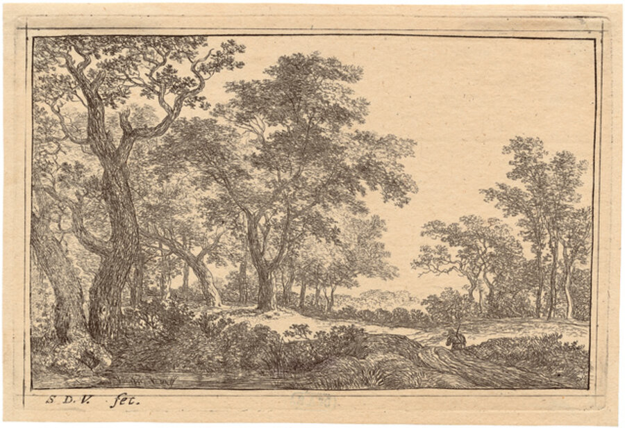 The Forest Clearing