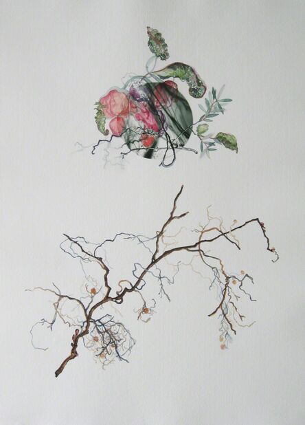 Holly King, ‘Botanical Investigation 8’, 2011