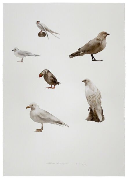 Guo Hongwei 郭鸿蔚, ‘Not Yet Titled (Birds)’, 2012