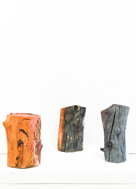 Sam Falls, ‘Untitled (Three Logs)’, 2012