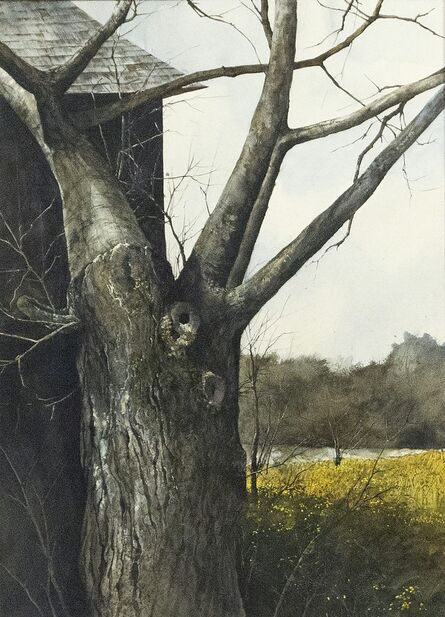 Gregory Sumida, ‘Tree with Bare Branches’, 1972