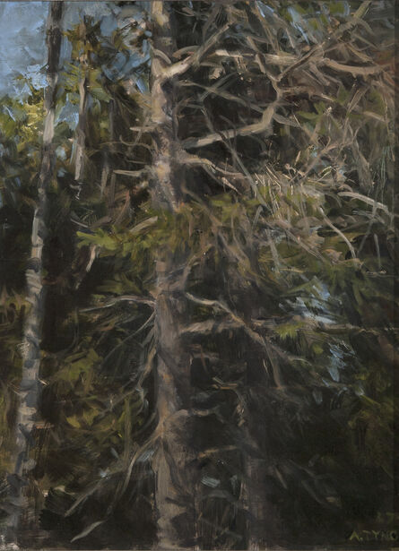 Alexandra Tyng, ‘Spruce Trees’, 2017