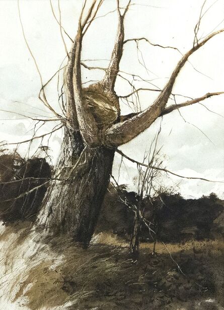 Gregory Sumida, ‘Approaching Storm, New Branches’, 1972