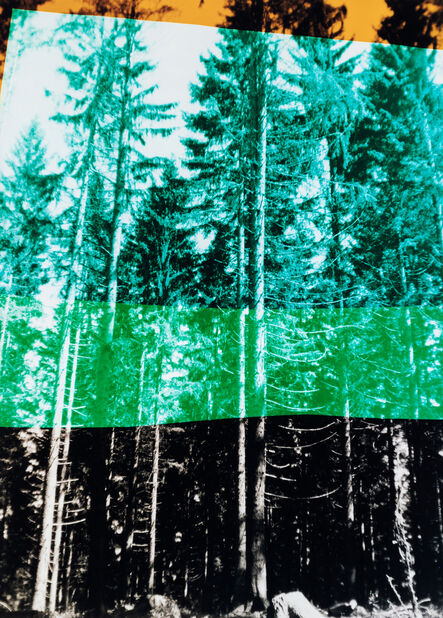 Frank Mädler, ‘Wald in vier Farben’, 2019