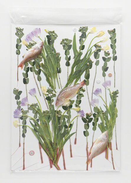 Brad Troemel, ‘3 Fish, Flowers, 3 Crypto Vest Litecoins, 1 AOCS Copper Round’, 2014