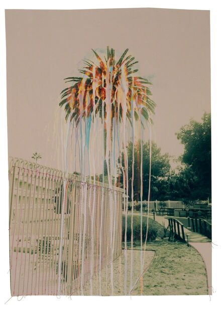 Andrew K. Thompson, ‘Untitled (Green Rainbow Palm Tree)’, 2016