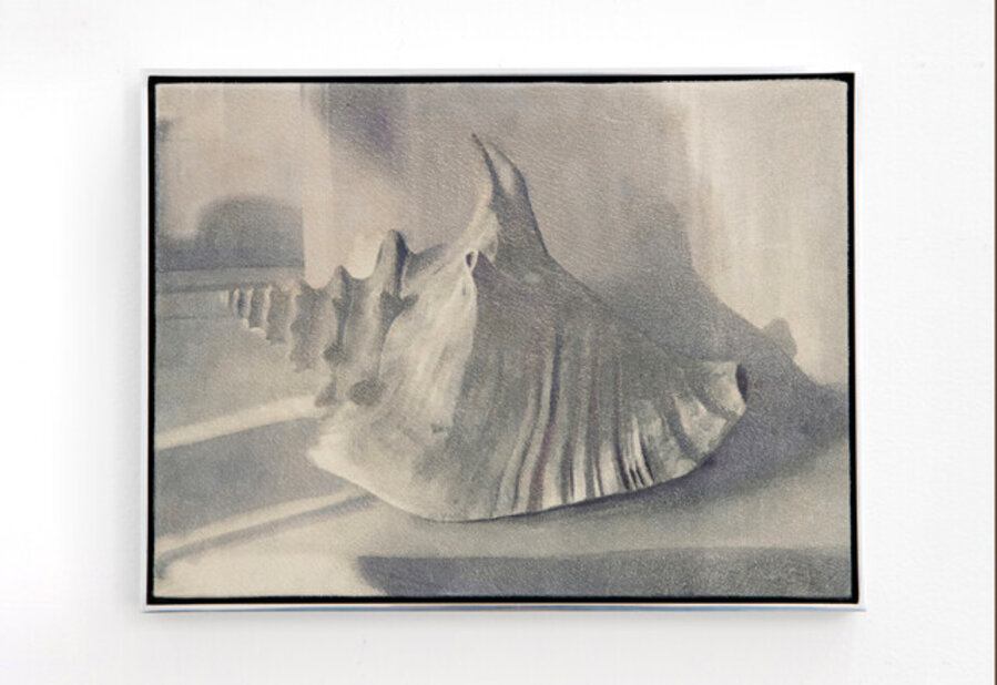 Sea Horn