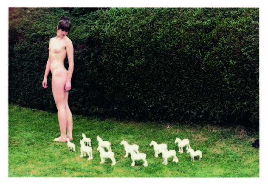 Rose & Porcelain Horses