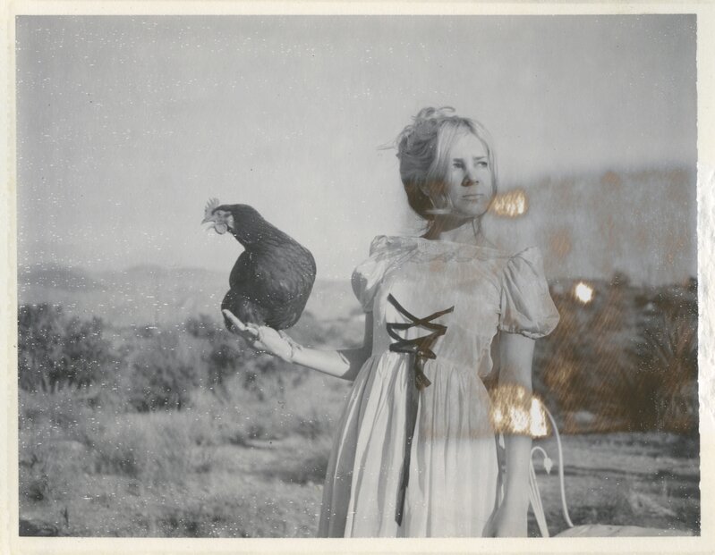 Stefanie Schneider, ‘Victorian Falcon (Chicks and Chicks and sometimes Cocks)’, 2016, Photography, Archival Print based on Polaroid. Not mounted., Instantdreams