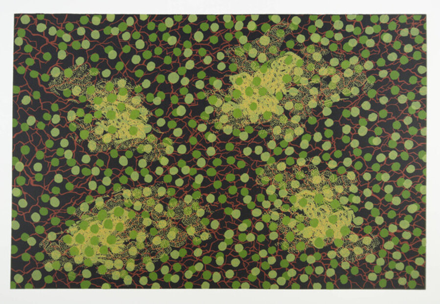 Green and Red Pattern with Frog Pattern