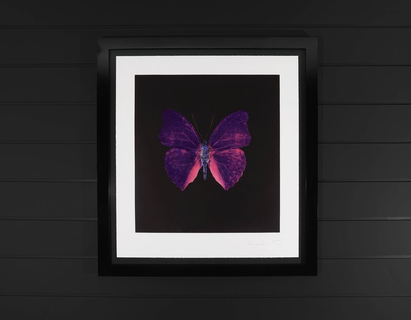 Damien Hirst, ‘Butterfly Souls Etching, Violet ’, 2007, Print, Etching on Somerset Satin Paper, Arton Contemporary
