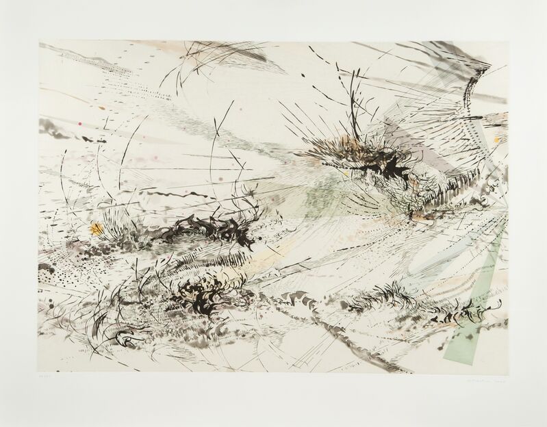 Julie Mehretu, ‘Diffraction’, 2005, Print, Sugar-lift and aquatint w/soft-ground etching, hard-ground etching and engraving, Joanna Bryant & Julian Page