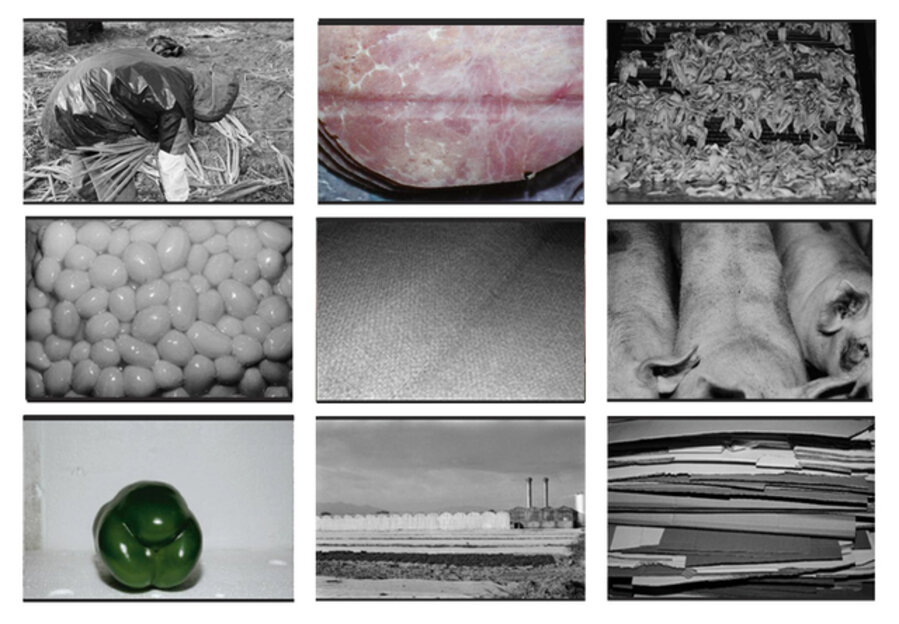 Untitled (from Lebensmittel)