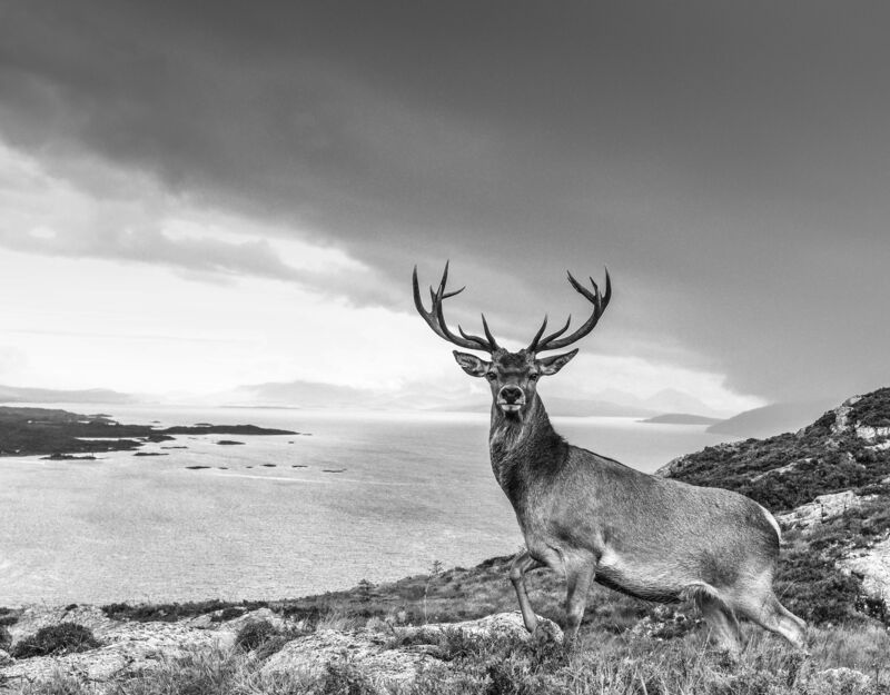 David Yarrow, ‘OVER THE SEA TO SKYE’, 2017, Photography, Archival pigment print, A. Galerie