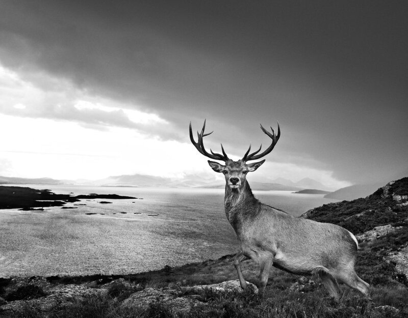David Yarrow, ‘Over the Sea to Skye’, 2017, Photography, Archival Pigment Print, CAMERA WORK