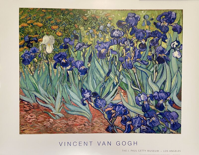 Vincent van Gogh, ‘Van Gogh, "Irises"Rare Museum Poster, 1889’, 2015, Ephemera or Merchandise, High Quality Museum Lithographic Exhibition Poster, David Lawrence Gallery