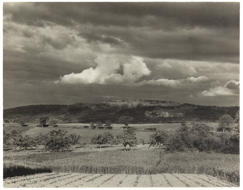 Paul Strand, ‘Landscape Near Sea in Montélimar’, Photography, Gelatin silver print, Freeman's | Hindman