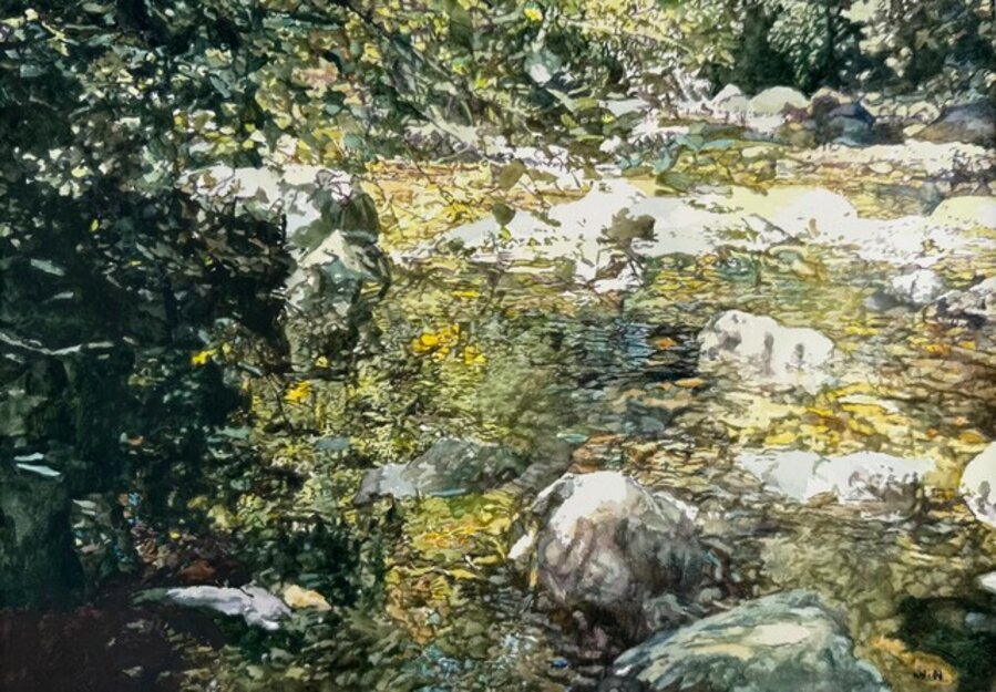 Reflections on a Shallow Stream