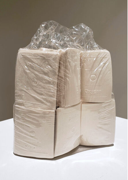 Sarah Irvin, ‘Out of the Furrow: Shrink-wrap’, 2020