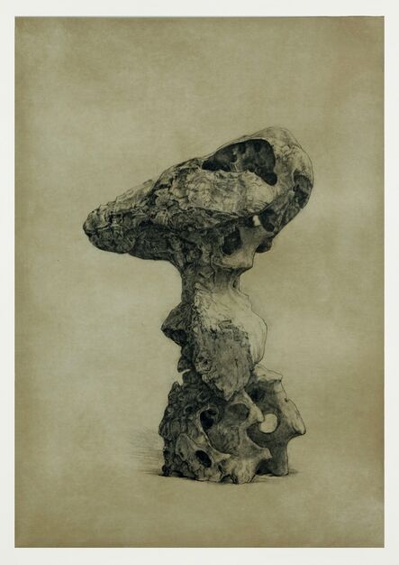 Shao Yinong & Mu Chen 邵逸农 & 慕辰, ‘Objects of Nature - Xiaqiu’, 2014