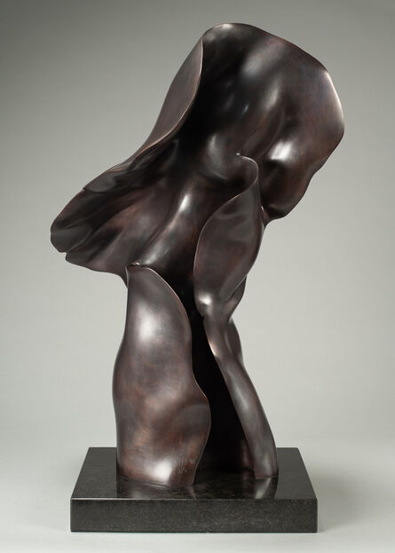 Helaine Blumenfeld, ‘Ascent’, Conceived in 2007