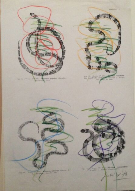 Jonier Marin, ‘The Diabolical Snakes’, 1970