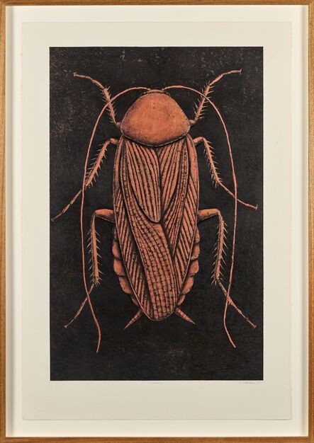 Walter Oltmann, ‘Cockroach’, 1998