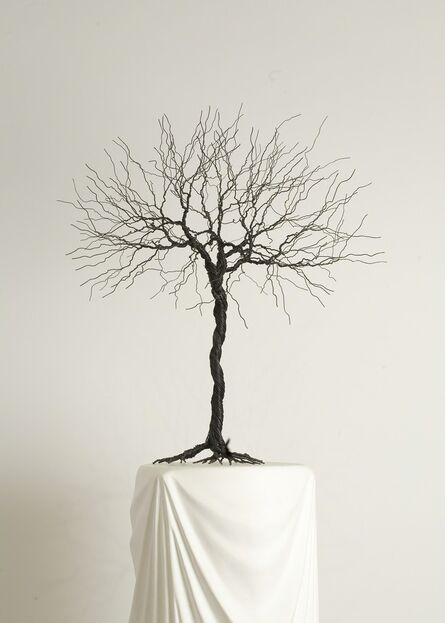 Pablo Avilla, ‘Wire Tree’, 2012