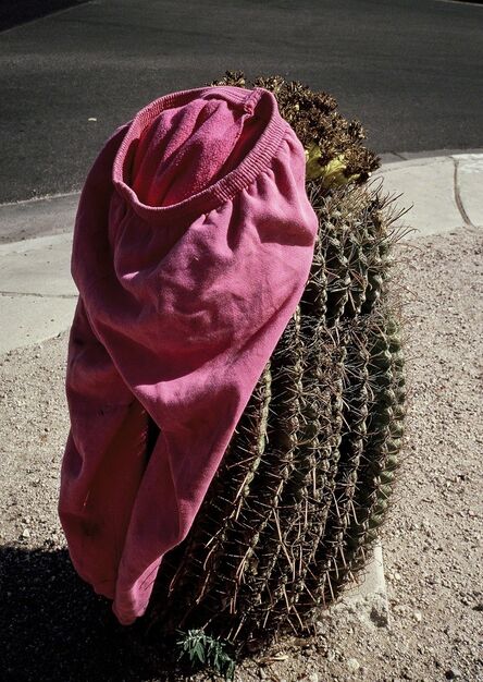 Henny Garfunkel, ‘Drive-by desert scene’, 2009