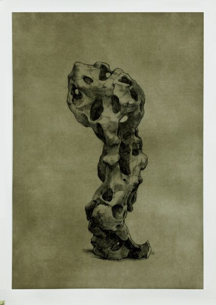 Shao Yinong & Mu Chen 邵逸农 & 慕辰, ‘Objects of Nature - Guwei’, 2014