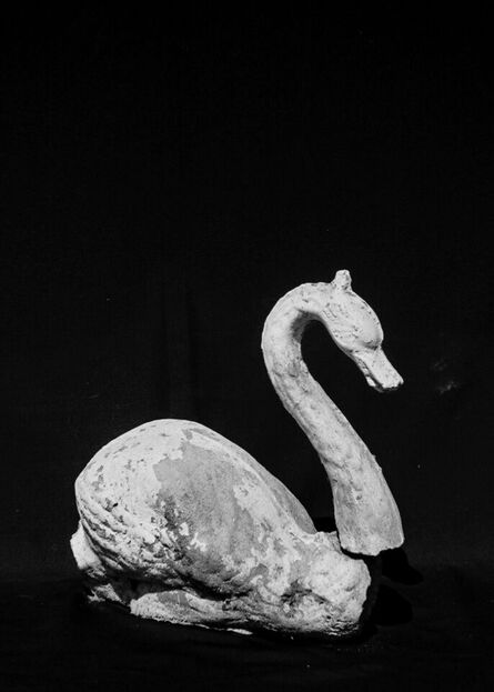 Oswaldo Ruiz, ‘El cisne’, 2020