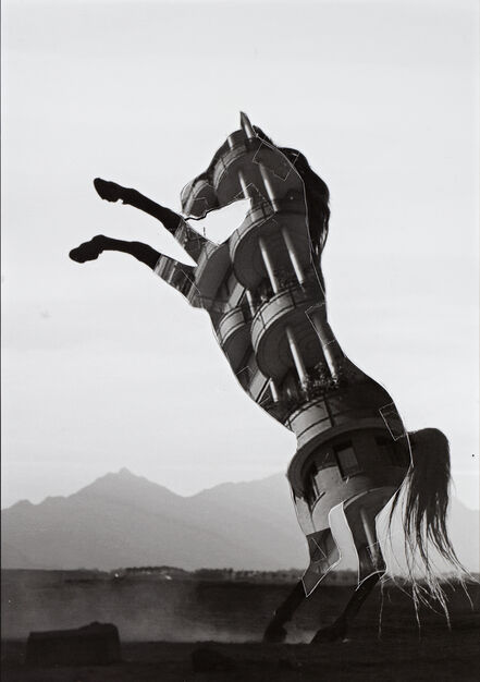 Shannon Bool, ‘Horse of Oblivion 7’, 2019